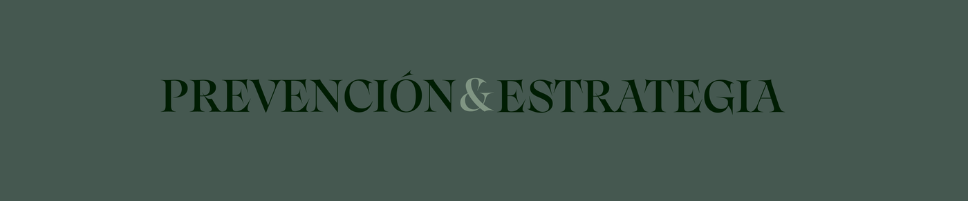 Prevención y Estrategia